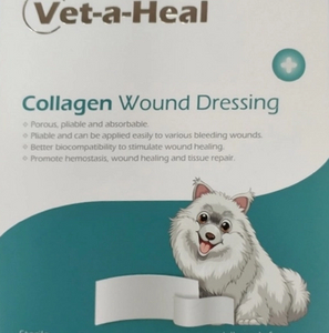 Pet Collagen Wound Dressing1_767_598_431_435.jpg
