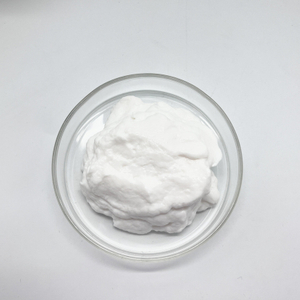 섬유질 아틀로 콜라겐 슬러리