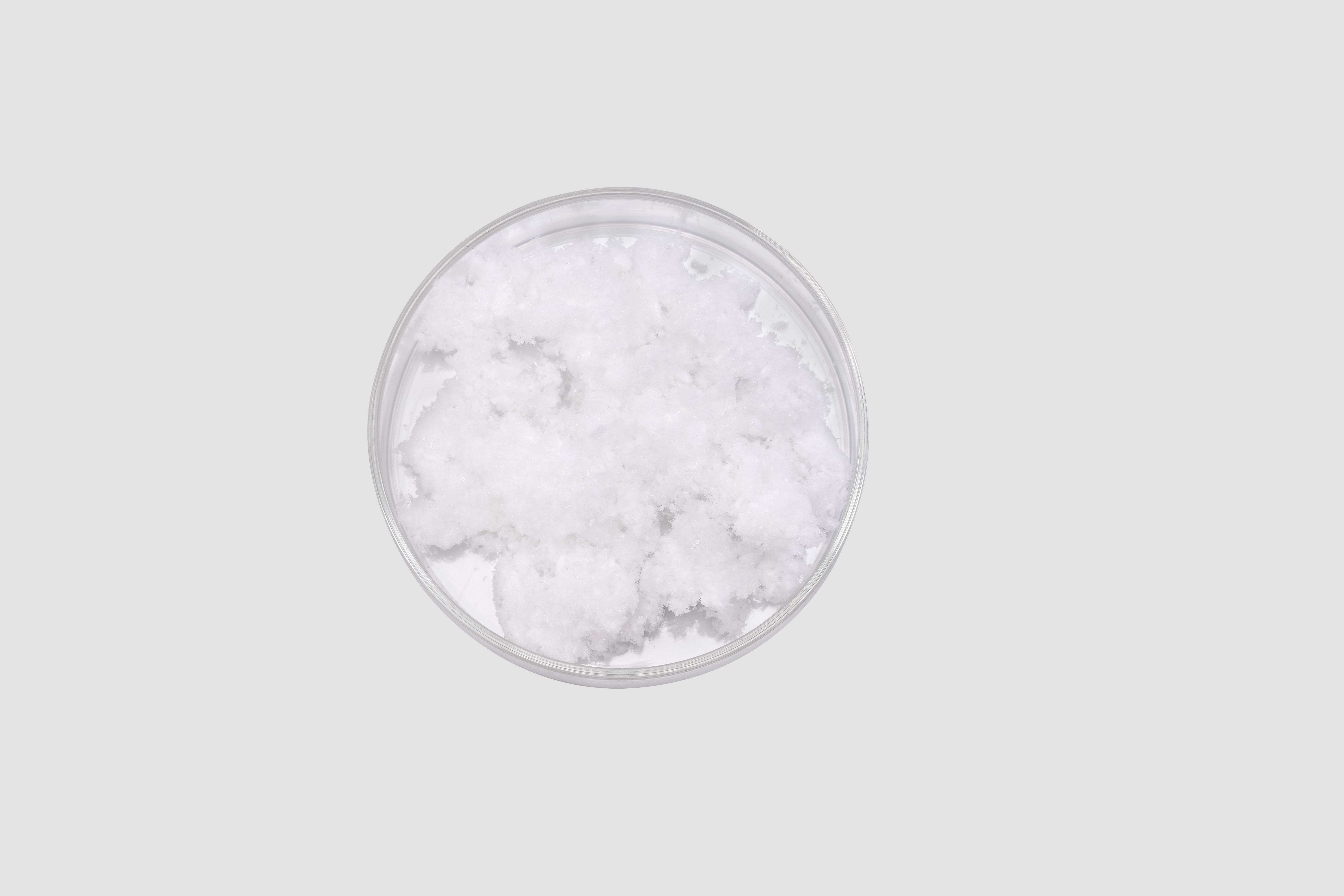 조직 공학에서 Atelocollagen 복합재 성능 평가